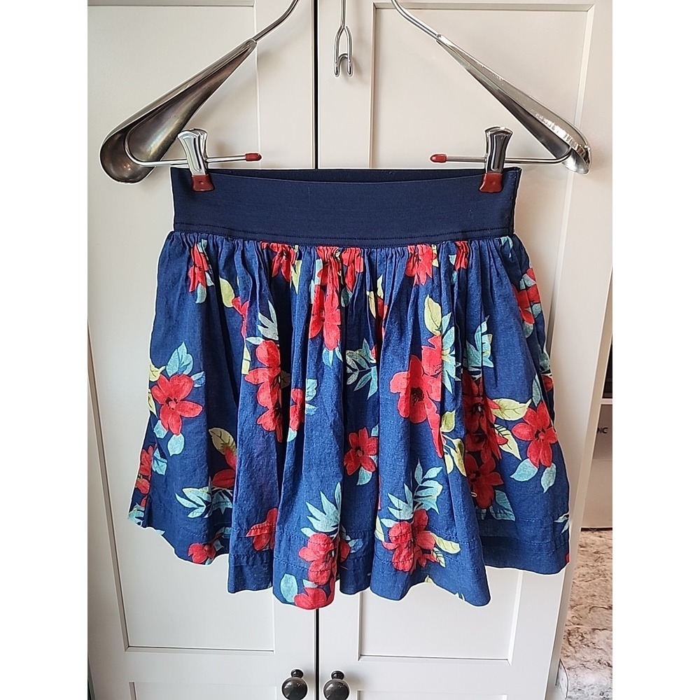 Hollister Skirt Small Womens Blue Short Floral Lined‎ Pleated Whimsical Skater